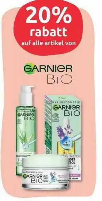 Budni Garnier Bio Angebot