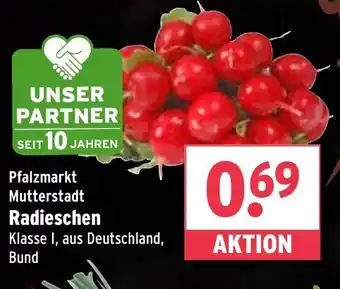 Wasgau Radieschen Angebot