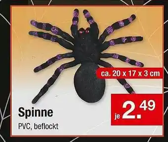 Zimmermann Spinne Angebot