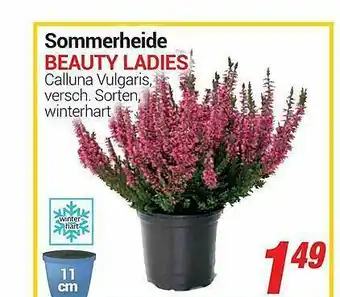 CENTERSHOP Sommerheide Beauty Ladies Angebot