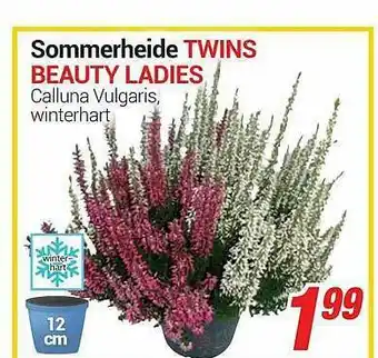 CENTERSHOP Sommerheide Twins Beauty Ladies Angebot