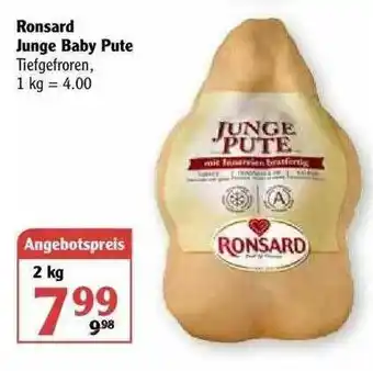 Globus Ronsard Junge Baby Pute Angebot