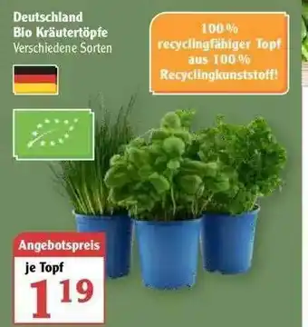 Globus Deutschland Bio Kräutertöpfe Angebot