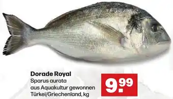 Handelshof Dorade Royal Angebot