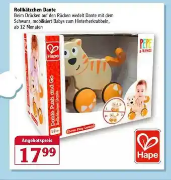 Globus Rollkätzchen Dante Angebot