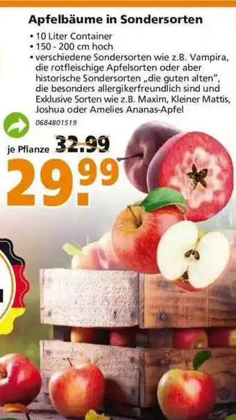 Globus Baumarkt Apflelbäume In Sondersorten Angebot