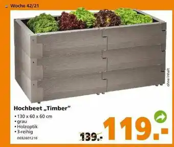 Globus Baumarkt Hochbeet „timber” Angebot