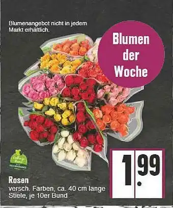 E-Center Rosen Angebot