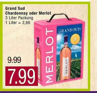 Marktkauf Grand Sud Chardonnay Oder Merlot Angebot