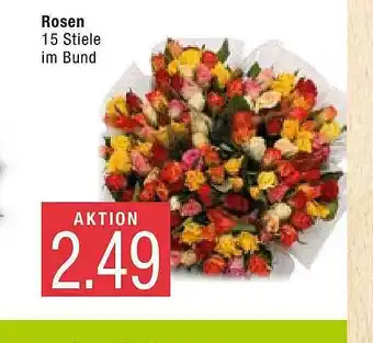 Marktkauf Rosen Angebot