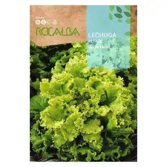 ManoMano Rocalba - seed lechuga grand rapids 100G Angebot