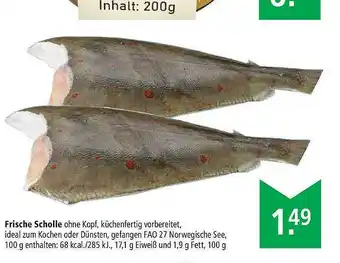 Marktkauf Frische Scholle Angebot