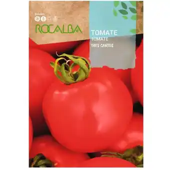 ManoMano Seed tomato tres cantos 500G - Rocalba Angebot