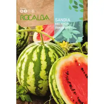 ManoMano Rocalba - Rokalba Sandia Crimson Sweet 10g Angebot