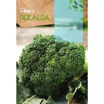 ManoMano Rocalba - broculi ramoso calabrese 8G Angebot