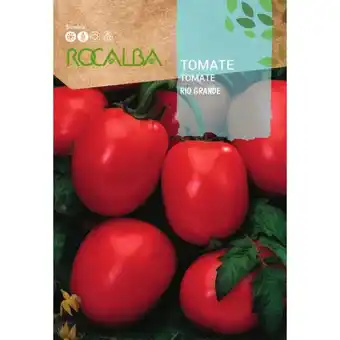 ManoMano Rocalba - tomate rio grande 1G Angebot