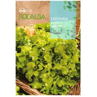 ManoMano Rocalba - Rokalba Lechuga Salad Bowl 6g Angebot