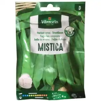 ManoMano Vilmorin - Mistica Enramemos JЩdische Samen - Щber 25 gr Angebot