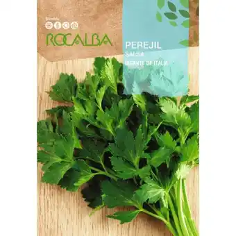 ManoMano Rocalba - Rokalba Seed Perejil Giant aus Italien 100g Angebot