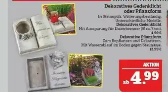 Marktkauf Dekoratives Gedenklicht Oder Pflanzform Angebot