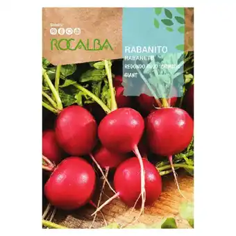 ManoMano Rokalba Seeds Rabanito Red.rojo Crimson Giant 25 gr, Pack 5x Angebot