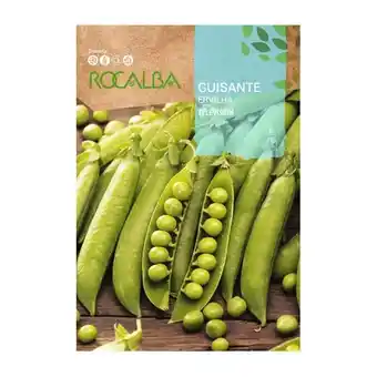 ManoMano Rocalba - seed GUISante Television 250gr Angebot