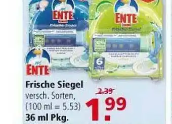 Multi Markt Ente Frisce Siegel Angebot