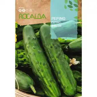 ManoMano Rocalba - Rokalba Seeds Vermarkter 500g Angebot