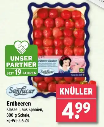 Wasgau SanLucar Erdbeeren 800g Angebot