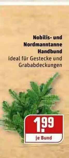 REWE Kaufpark Nobilis Und Nordmanntanne Handbund Angebot