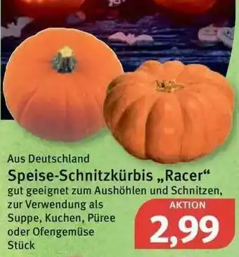 Feneberg Speise-schitzkürbis „racer” Angebot