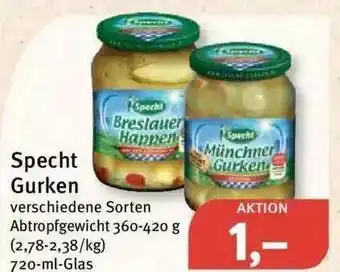 Feneberg Specht Gurken Angebot