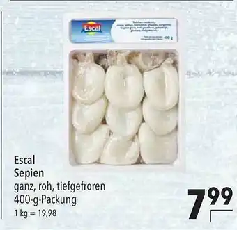 CITTI Markt Escal Sepien Angebot