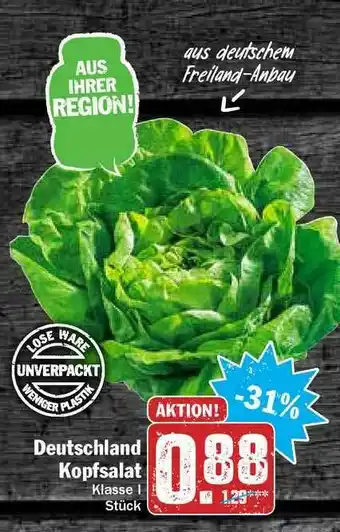 Hit Kopfsalat Angebot