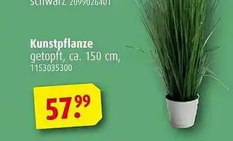 ROLLER Kunstpflanze Angebot