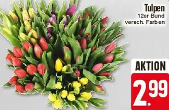 Edeka Tulpen 12er Bund Angebot