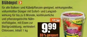 V Baumarkt Blühdepot 1 kg Angebot