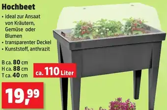 Thomas Philipps Hochbeet ca. 110 Liter Angebot