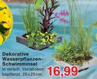 Jawoll Dekorative Wasserpflanzen Schwimminsel Angebot