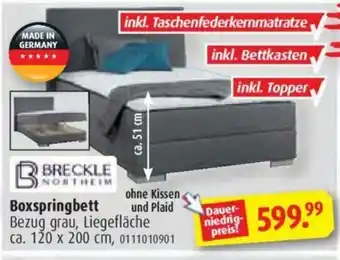 ROLLER Boxspringbett Angebot
