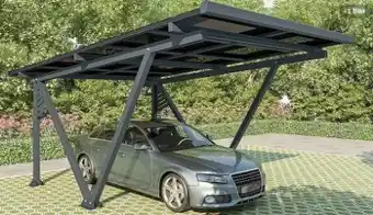 Netto Marken-Discount Solar-Carport SunLuxe Angebot