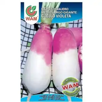 ManoMano Samen des Nabo -Futters mittlerer langer violettes Nackenriesen - Schachtel von 250 g - WAM Angebot