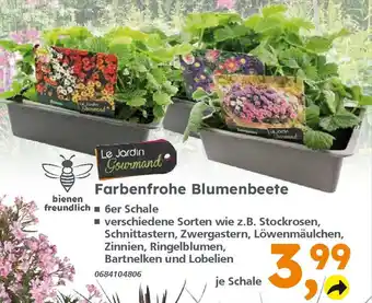 Globus Baumarkt Farbenfrohe Blumenbeete Angebot