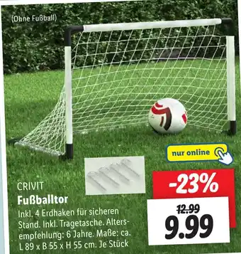 Lidl CRIVIT Fußballtor Angebot