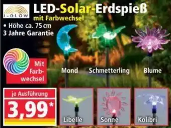 Norma I-GLOW LED-Solar Erdspieß Angebot