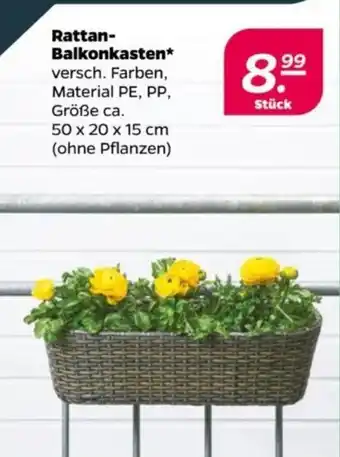 NETTO Rattan- Balkonkasten Angebot