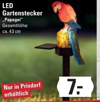 Meyer's Frischemarkt LED Gartenstecker „Papagei“ Gesamthöhe: Angebot