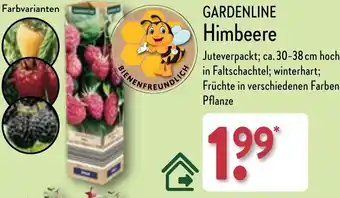 Aldi Nord GARDENLINE Himbeere Angebot