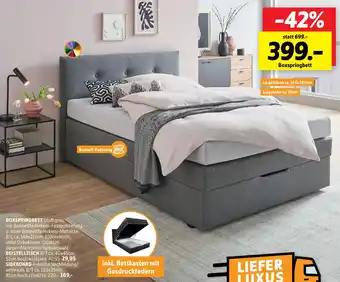 SCONTO Boxspringbett Angebot