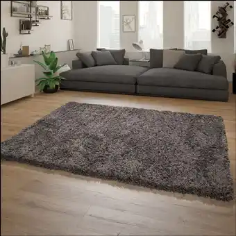 ManoMano Paco Home - Hochflor Teppich Wohnzimmer Shaggy Langflor Modernes Einfarbiges Muster Anthrazit, 240x340 cm Angebot